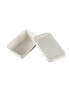 GoEco, Disposable, With Lid, Rectangular, Baggase, Containers, 500ml, Pack of 50