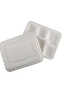 GoEco, Disposable, 5CP, Rectangular with Lid, Baggase, Meal Trays, Pack of 50