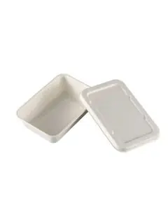 GoEco, Disposable, With Lid, Rectangular, Baggase, Containers, 500ml, Pack of 50
