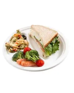 GoEco, Disposable, 3CP, Baggase, Meal Trays, Pack of 500