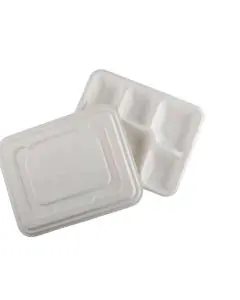 GoEco, Disposable, 5CP, Rectangular with Lid, Baggase, Meal Trays, Pack of 50