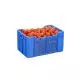 Bottom Closed, Side Perforated, Crates, 500mm x 300mm x 200mm, Pack of 1